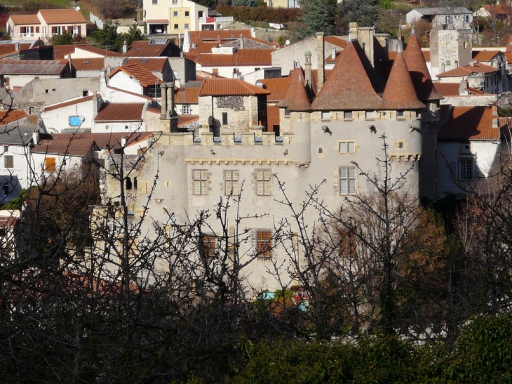 Le château - Saint-Amant-Tallende