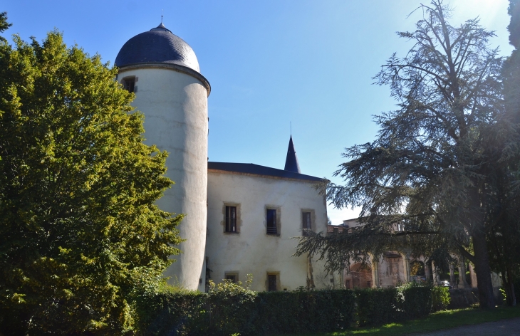 Le Château - Saint-Cirgues-sur-Couze