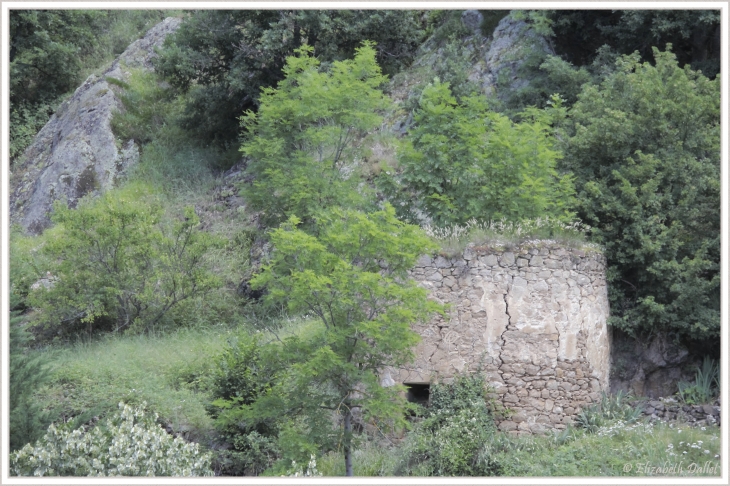 Un des vestiges de Saint-Floret...…dissimulée entre les vieux rochers et la jeune végétation, la  petite tour charmeuse du XIIème siècle m’a accueillie à l’entrée du village…