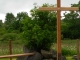 Photo précédente de Saint-Genès-Champespe croix de mission du Chevadys - St Genès