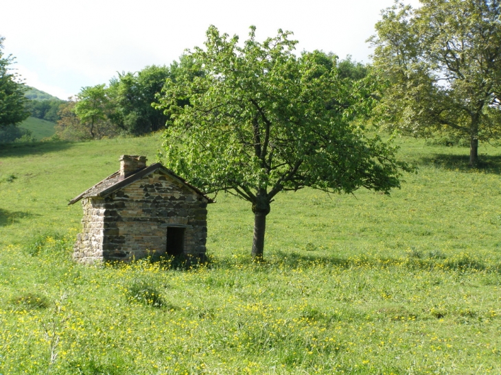 La cabane - Saint-Julien-de-Coppel
