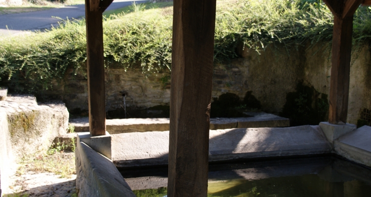 Ancien Lavoir - Saint-Priest-Bramefant