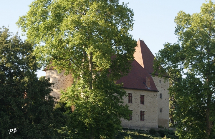 Château de la Poivrière ( 14/15 Em Siècle )  - Saint-Sylvestre-Pragoulin