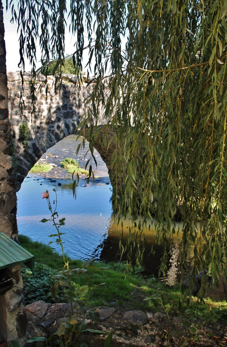 La Couze Pavin et le Pont Vieux - Saurier