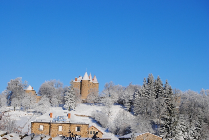 Château de Montfort - Vernet-la-Varenne