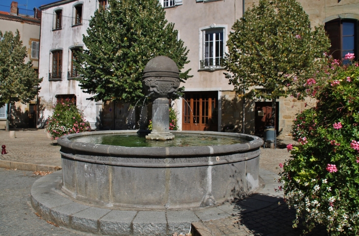 Fontaine - Vic-le-Comte