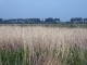 Photo suivante de Ouistreham vue de Salenelles sur l'autre rive de l'Orne