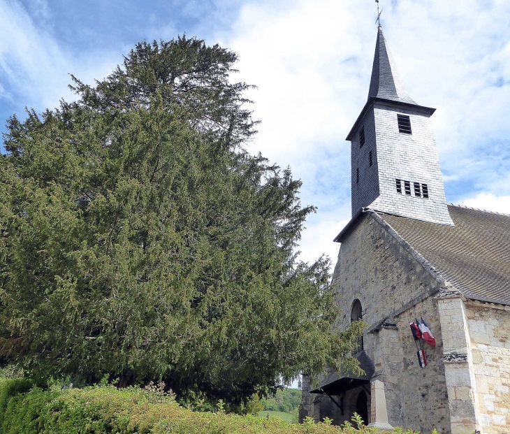 Devant l'église : if classé arbre remarquable - Surville