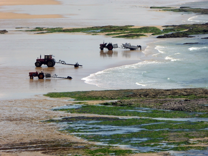 Halage des bateaux à marée basse - Surtainville