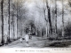 Le château - Une allée du Parc, vers 1907 (carte postale ancienne).