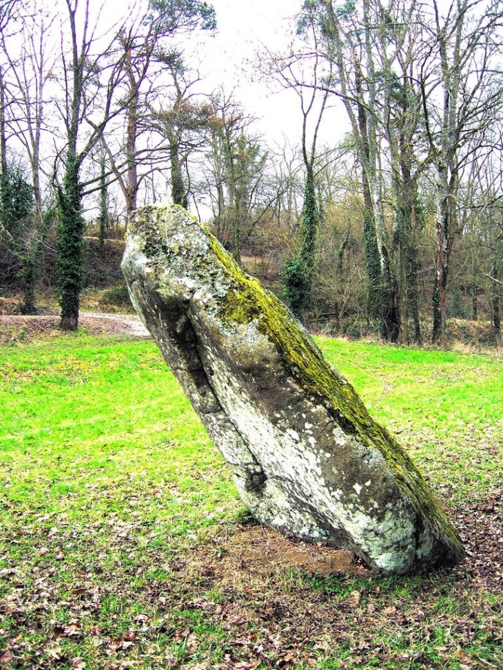 Le menhir de la Longue Roche - Giel-Courteilles