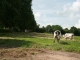 Photo précédente de Ginai Ginai et ses vaches