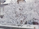 Photo suivante de Lalacelle lalacelle sous la neige