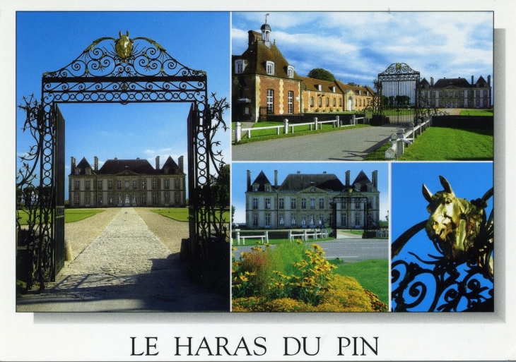 Le Haras du Pin (carte postale de 2006) - Le Pin-au-Haras