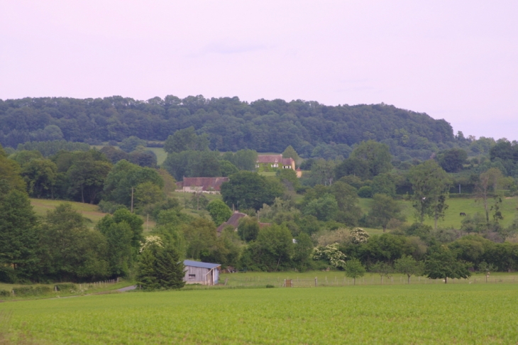 Vue des collines du perche - Origny-le-Butin