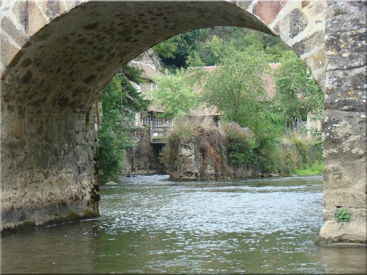 La Sarthe au pont de Saint Céneri (Orne) - Saint-Céneri-le-Gérei