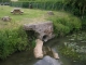 Photo suivante de Saint-Germain-de-la-Coudre la coudre rivière obstruée du village