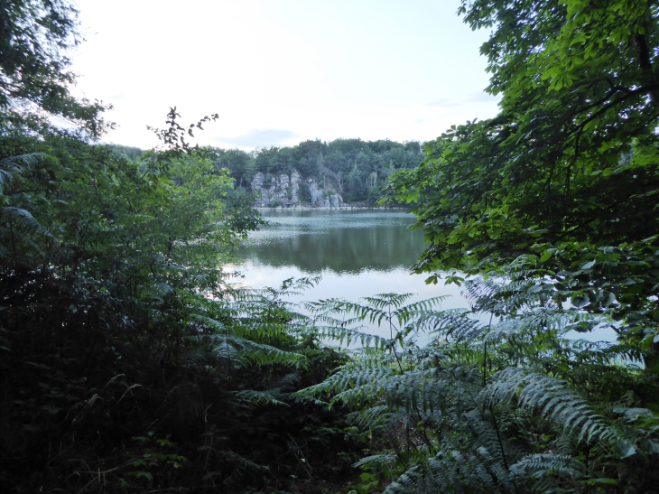 Le lac de Pont - Flée