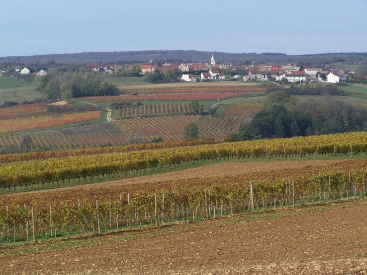 Vignoble et village - Fussey