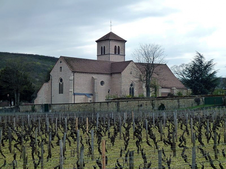 L'église et les vignes - Gevrey-Chambertin