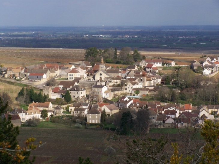 Le village - Monthelie