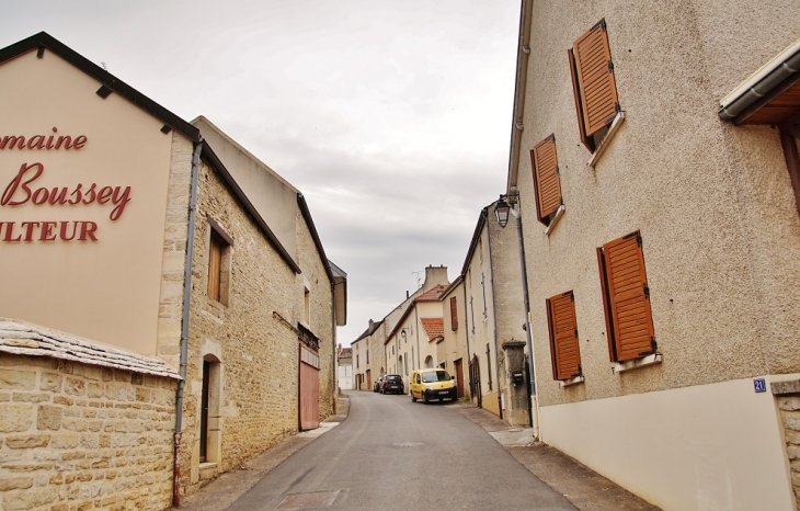 Le Village - Monthelie