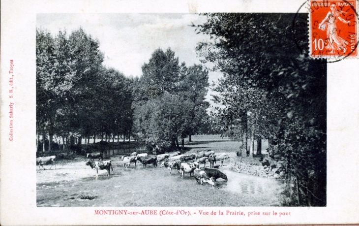 Vue de la Prairie, prise sur le Pont, vers 1913 (carte postale ancienne). - Montigny-sur-Aube