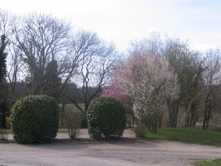 Le vay au printemps - Orville