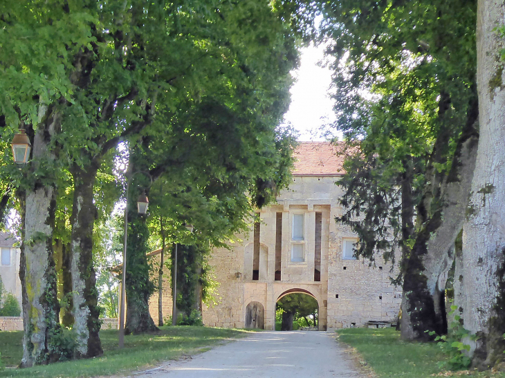 Le château : poterne du 15ème siècle - Puits