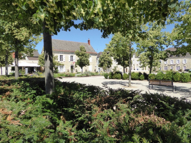 Belle place - Puligny-Montrachet