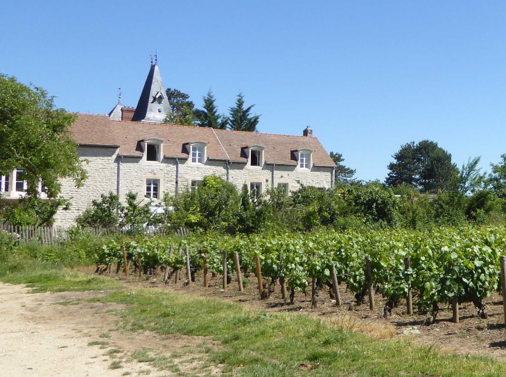 Château du vignoble - Puligny-Montrachet