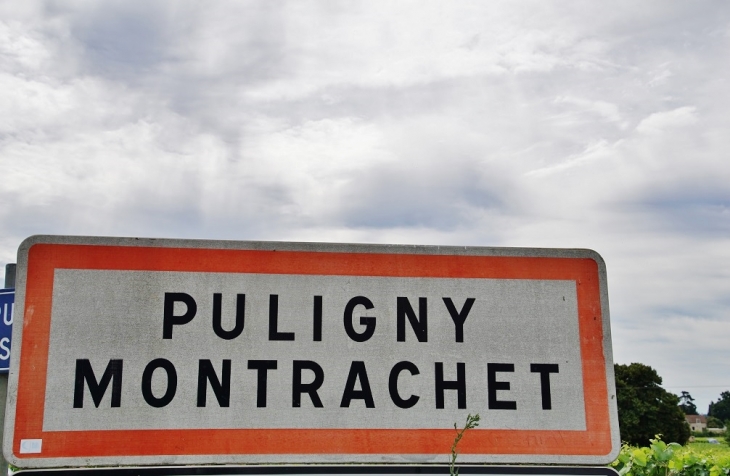  - Puligny-Montrachet