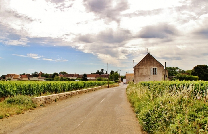 Le Village - Puligny-Montrachet