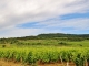 Photo précédente de Puligny-Montrachet Vignobles