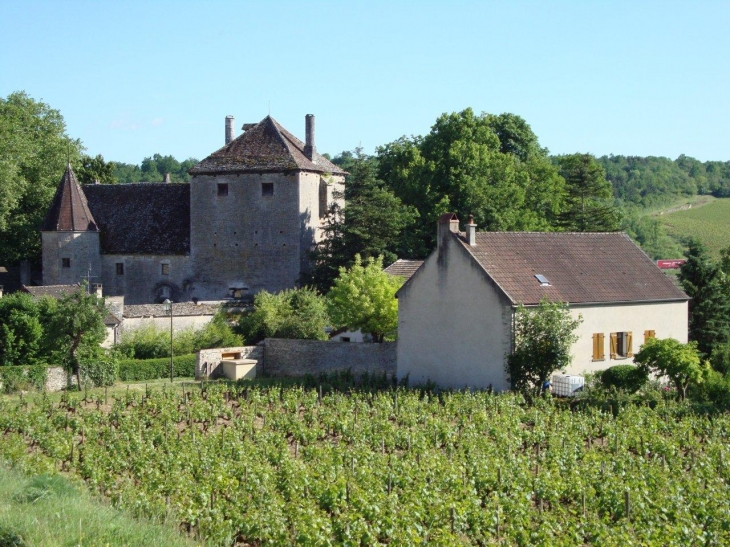 Saint-Aubin (21190) Château de Gamay