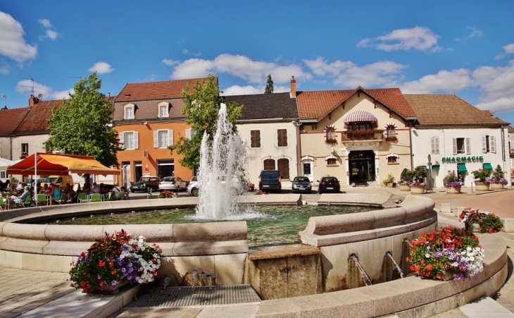 Fontaine - Santenay