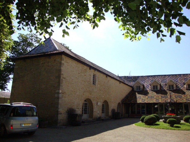 Santenay (21590) château de Philippe le Hardi