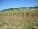 Photo précédente de Santenay Santenay (21590) vignobles 