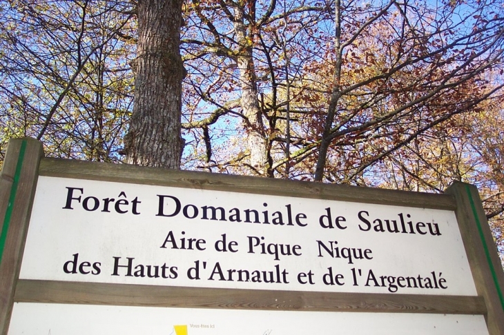 Forêt Domaniale des Hauts d'Arnault - Saulieu