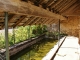 Lavoir