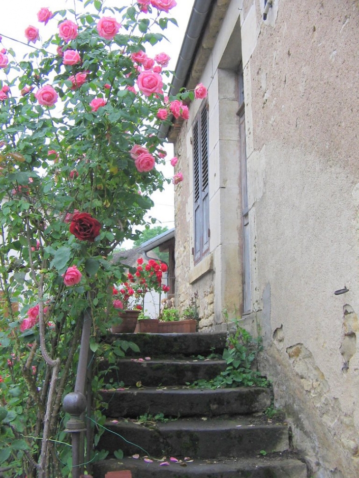 Escalier aux roses - Billy-sur-Oisy