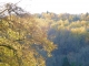 Photo précédente de Larochemillay Bois de la Garenne