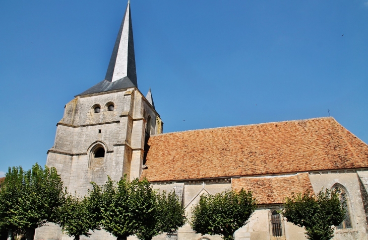 .église Saint-Vincent - Pougny