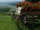 Photo précédente de Beaubery Char fleuri sur la place du village