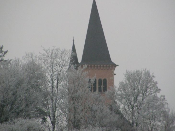 L'église vue du bord de Seille - Cuisery