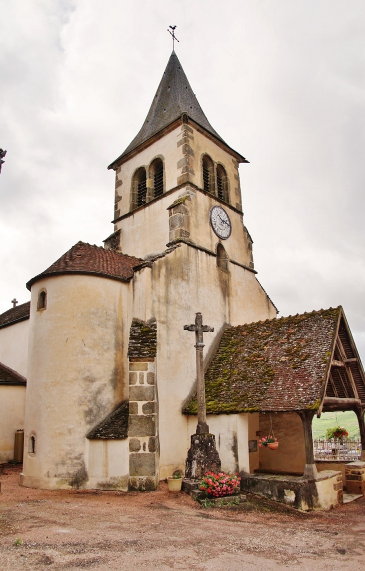  église Saint-Martin - Dezize-lès-Maranges