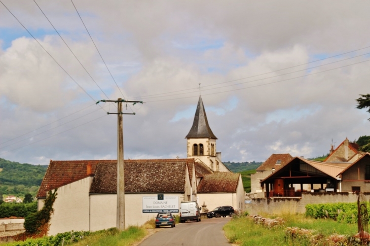   église Saint-Martin - Dezize-lès-Maranges