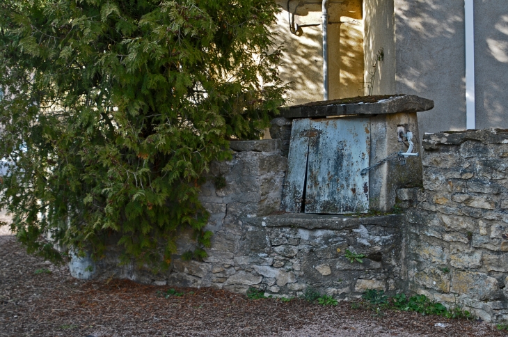 Vieux puit public condamné (J.M. Mullot) - Joncy