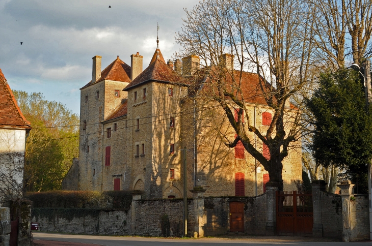 En direction de St. Gengoux - le -National, à la sortie du village, le château. ( J.M. Mullot ) - Joncy