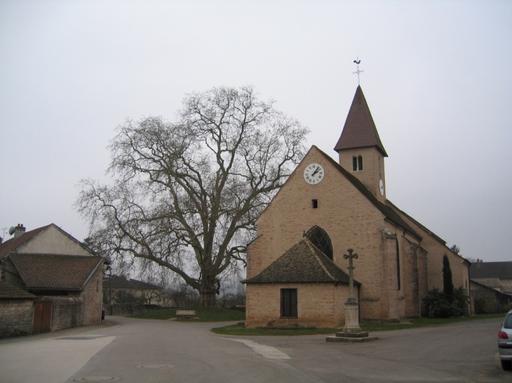 L'Eglise et le Platane - Préty